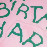 Harry Potter - Happe Birtdae Harry Amerikan Servis - 2