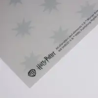 Harry Potter - Slytherin Amerikan Servis - 3